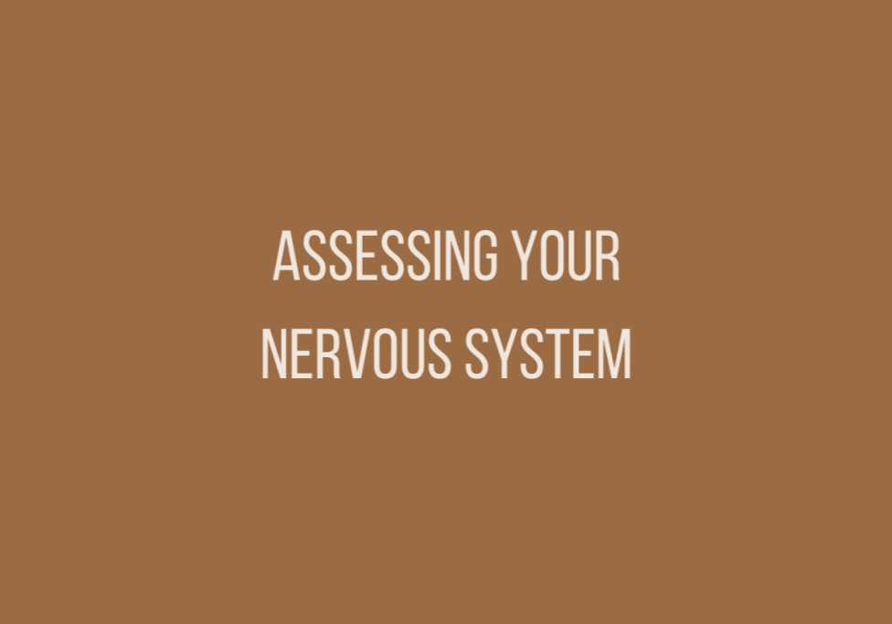 2_21-Assessing-Your-Nervous-System